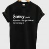 Sassy Slogan T-shirt