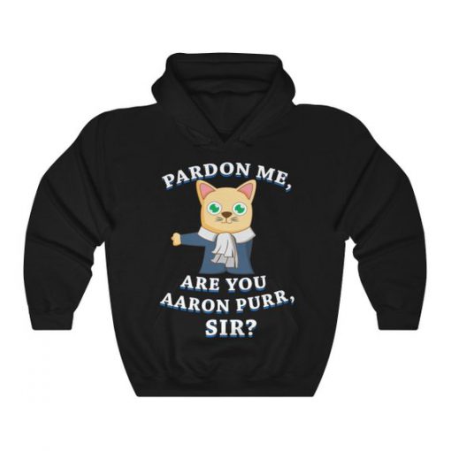 Excuse Me Are You Aaron Purr Sir Funny Hamilton Hoodie