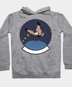 Previous 4th Space Control Squadron Shield Hoodie
