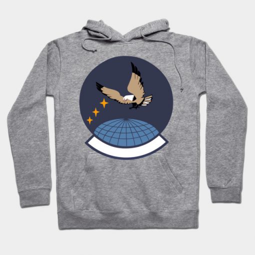 Previous 4th Space Control Squadron Shield Hoodie