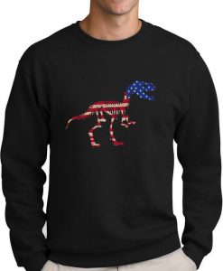 USA Flag T-Rex Dinosaur 4th of July Gift Americana Sweatshirt