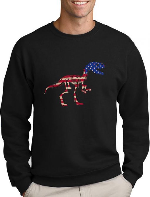 USA Flag T-Rex Dinosaur 4th of July Gift Americana Sweatshirt