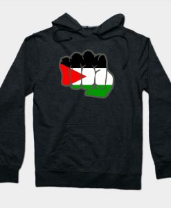 Free Palestine fight revolution Hoodie