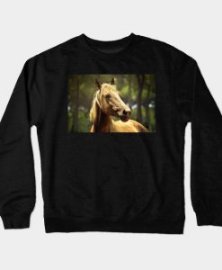 Horse in Sun Spot Crewneck Sweatshirt