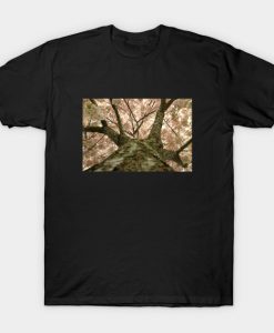 Blossom on a Cherry Tree T-Shirt