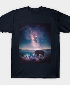 illusion T-Shirt